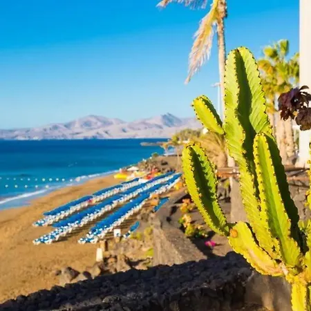 Cindy * 플라야블랑카