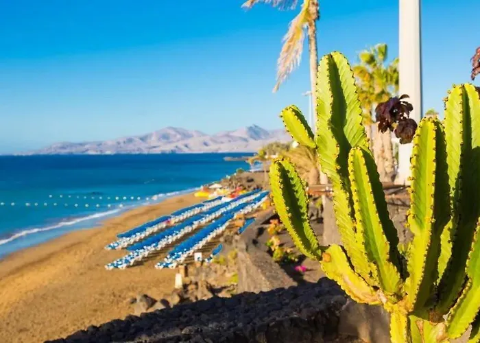 Cindy * פלאיה בלנקה